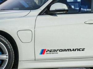 Hard Goat M Performance side stickers on a Maruti Suzuki Swift.